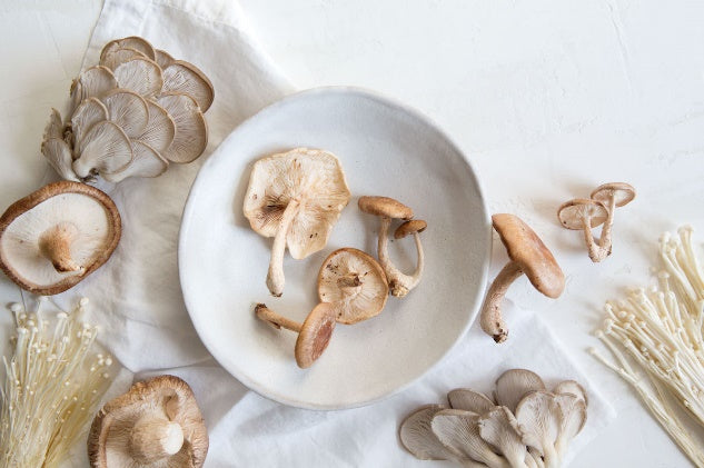 Why we chose to formulate with mushroom extract