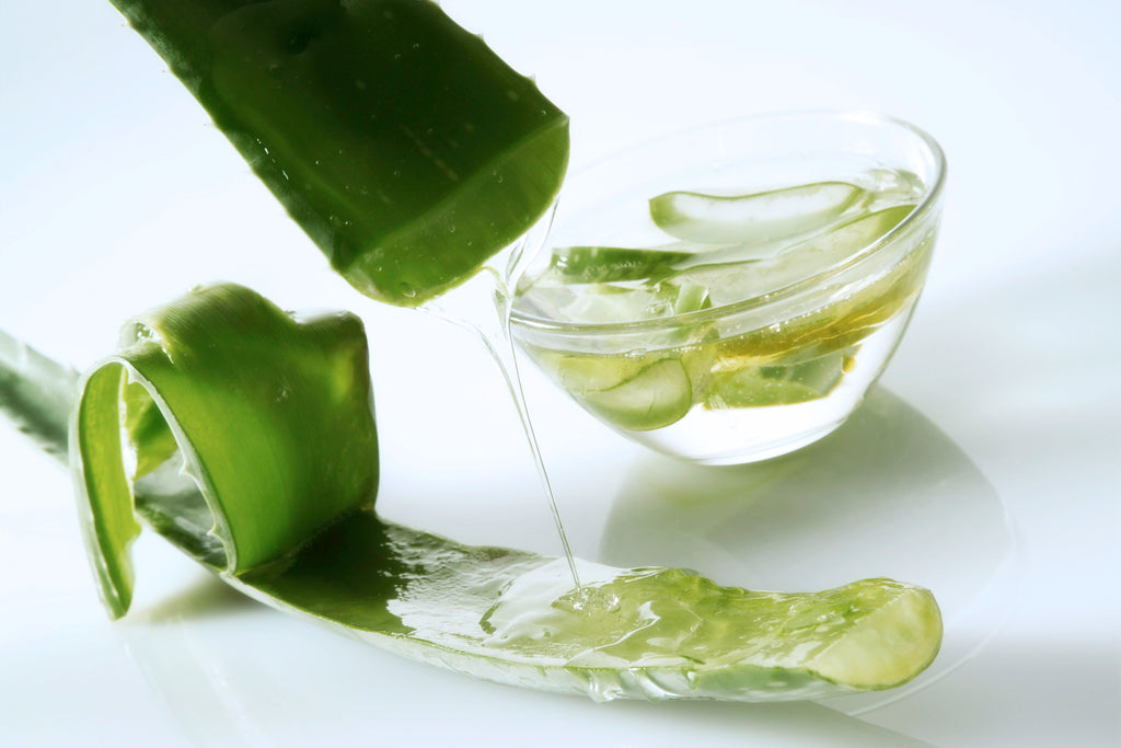 Aloe Vera Juice Extract Benefits